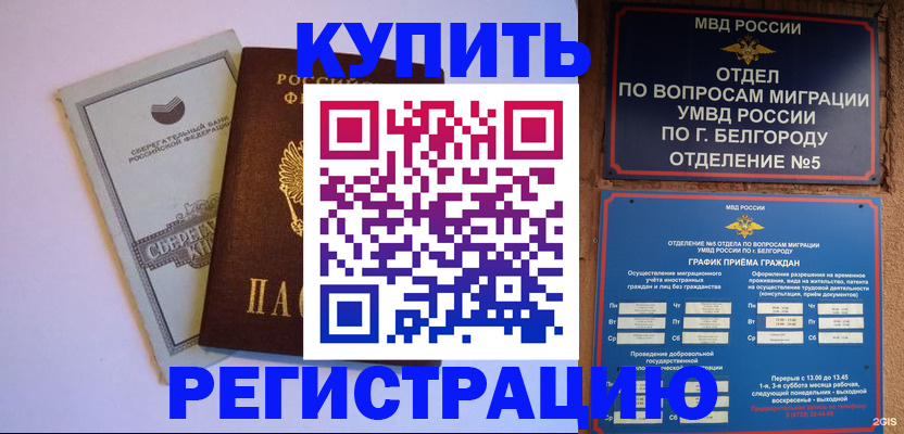 временная прописка в Коле